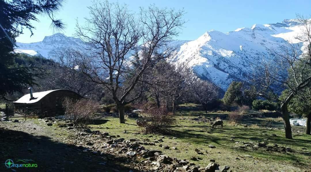 Apartament Casa De Cata Güéjar Sierra Zewnętrze zdjęcie
